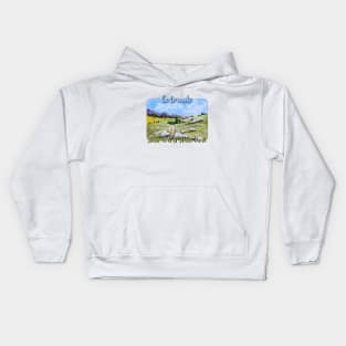 State Forest State Park, Colorado Kids Hoodie